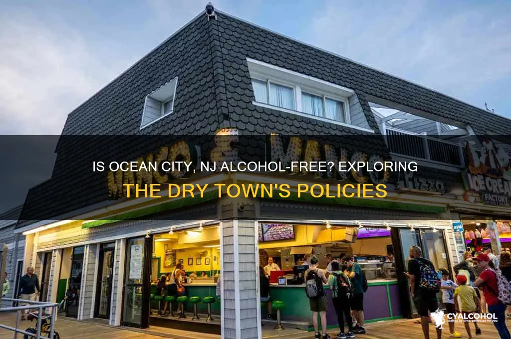 is ocean city nj alcohol free