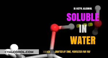 Is Octyl Alcohol Soluble in Water? Exploring Its Solubility Properties