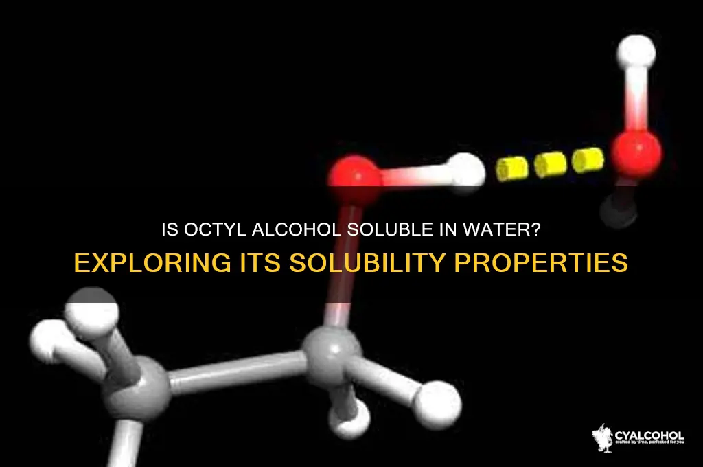 is octyl alcohol soluble in water