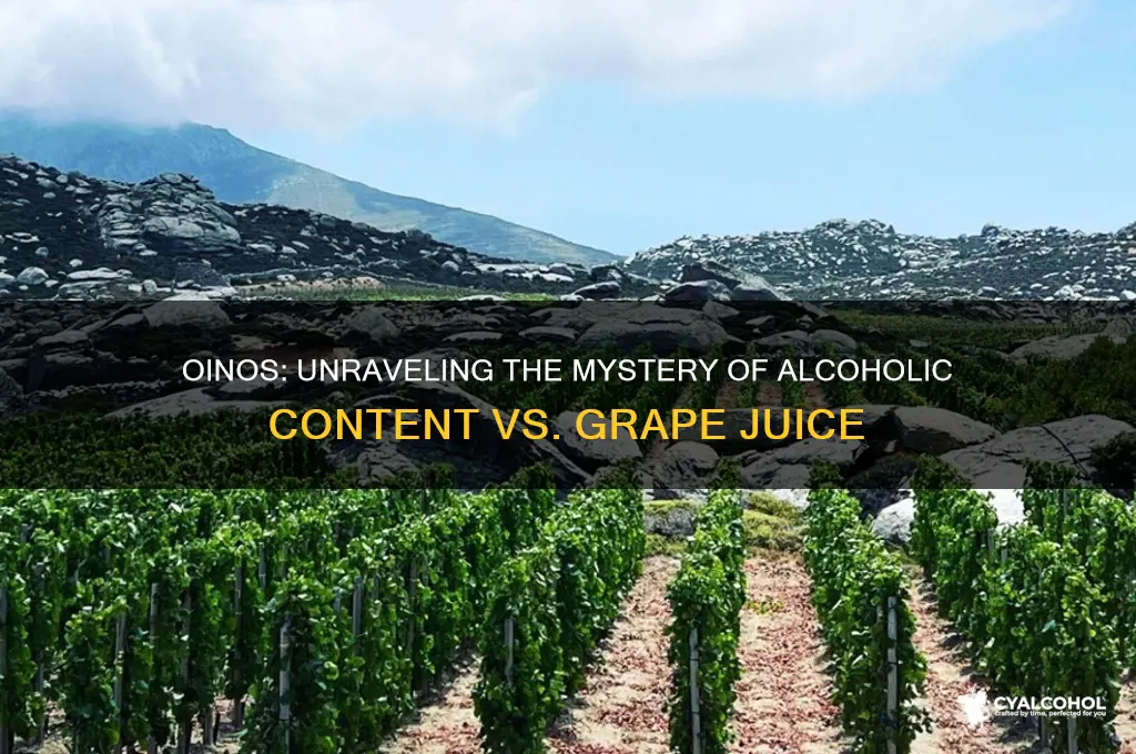 is oinos alcoholic or grape juice