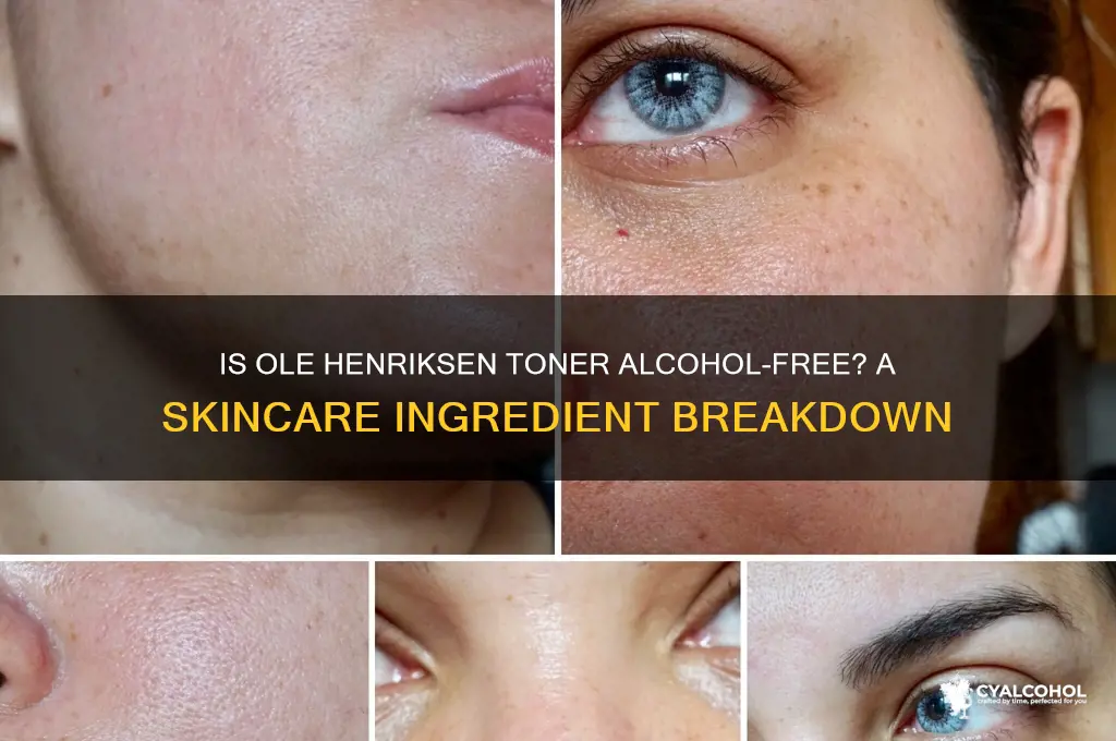 is ole henriksen toner alcohol-free