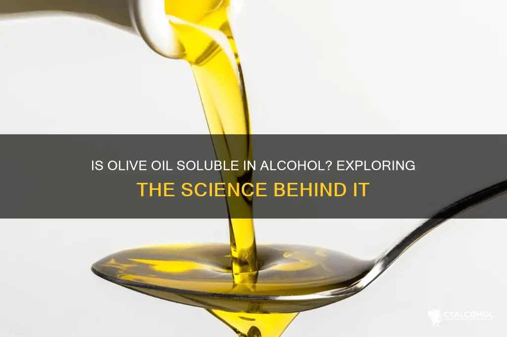 is olive oil soluble in alcohol