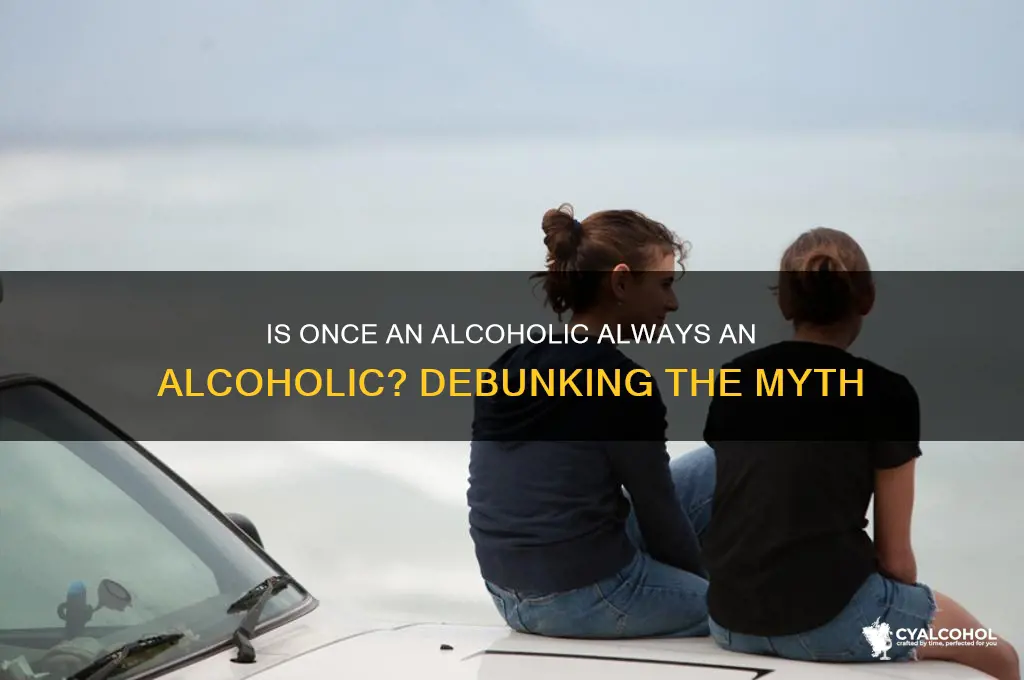 is once an alcoholic always an alcoholic true