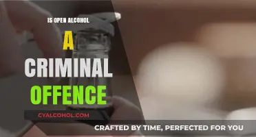 Open Alcohol in Public: Criminal Offence or Legal Gray Area?