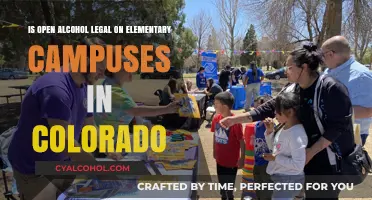 Alcohol on Elementary Campuses: Colorado's Open Container Laws