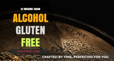Is Organic Grain Alcohol Gluten-Free? Unraveling the Truth for Celiacs