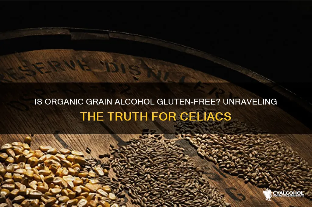 is organic grain alcohol gluten free