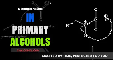 Exploring Oxidation Reactions in Primary Alcohols: Possibilities and Mechanisms