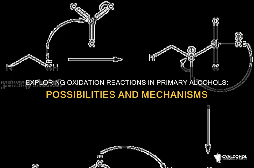 is oxidation possible in primary alcohols