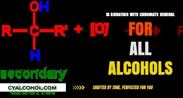 Chromate Oxidation of Alcohols: Universal Applicability or Selective Reaction?