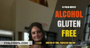 Is Palm Breeze Alcohol Gluten-Free? A Complete Guide for Drinkers
