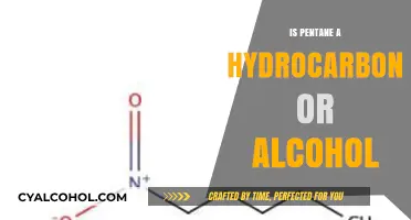 Pentane: Hydrocarbon or Alcohol? Understanding Its Chemical Classification