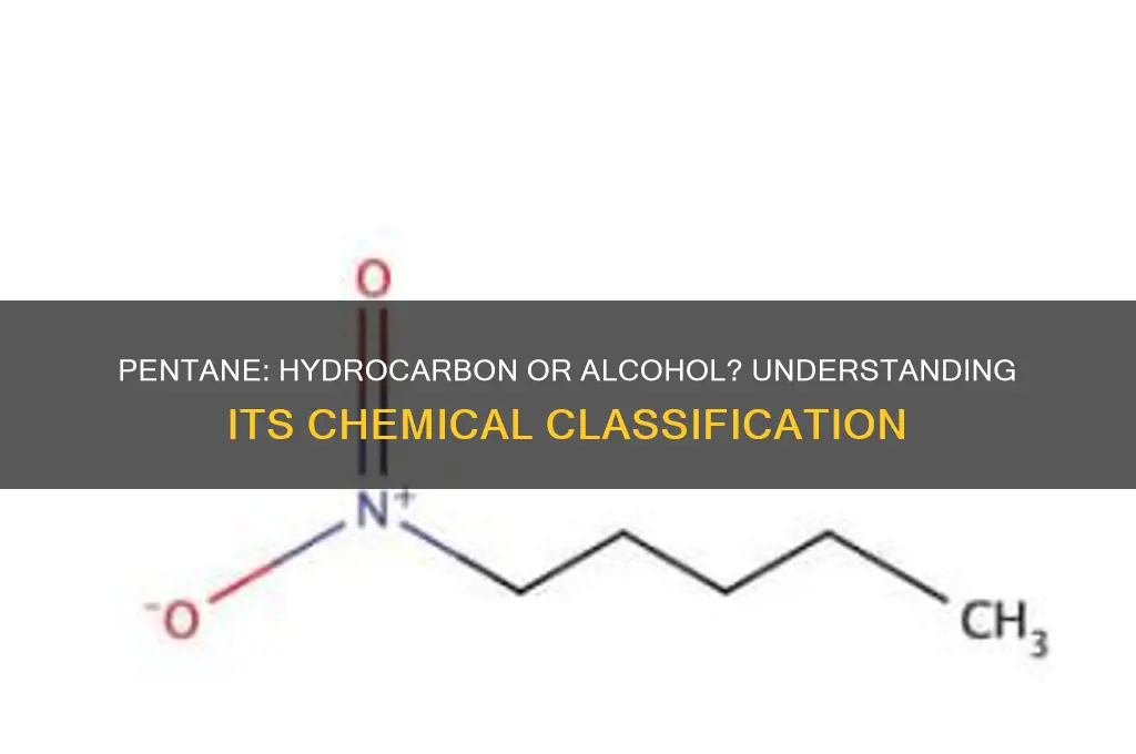 is pentane a hydrocarbon or alcohol