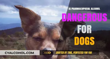 Pharmacopoeial Alcohol and Dogs: Understanding the Risks and Dangers