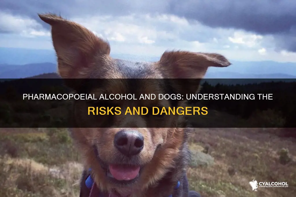 is pharmacopoeial alcohol dangerous for dogs