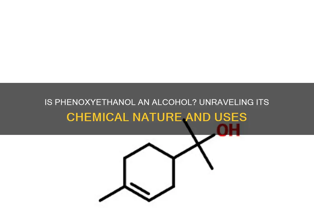 is phenoxyethanol an alcohol