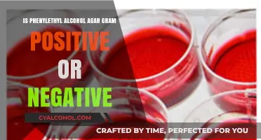Phenylethyl Alcohol Agar: Identifying Gram-Positive or Negative Bacteria