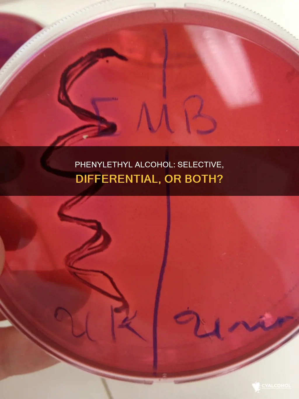 is phenylethyl alcohol pea agar selective differential or both