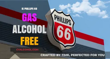 Is Phillips 66 Gas Alcohol-Free? Uncovering the Fuel Facts