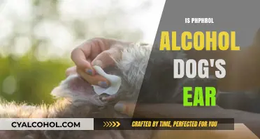 Is PHPHROL Alcohol Safe for Cleaning Your Dog's Ears?