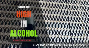Pinot Noir Alcohol Content: Unveiling the Truth About Its ABV Levels