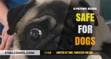 Is Polyvinyl Alcohol Safe for Dogs? A Comprehensive Guide