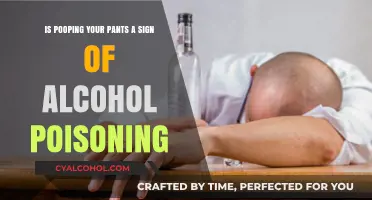 Poop and Alcohol: What Pooping Your Pants Really Means