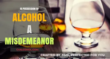 Is Possession of Alcohol a Misdemeanor? Legal Insights and Penalties