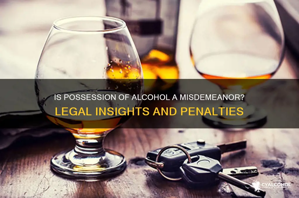 is possession of alcohol a misdemeanor