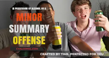 Alcohol Possession by Minors: Summary Offense Laws