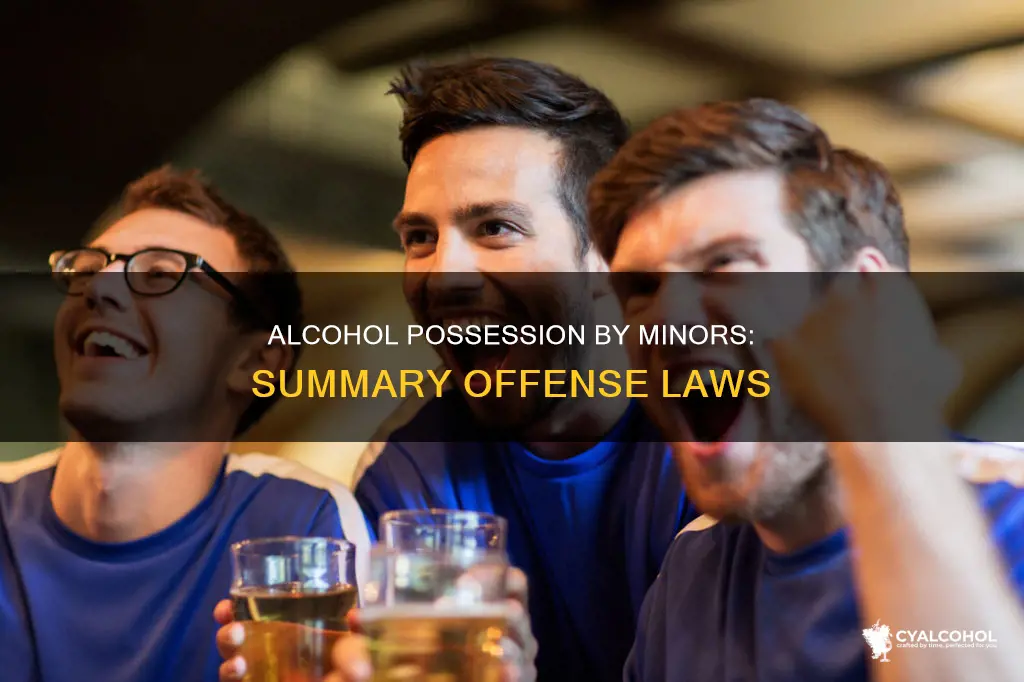 is possession of alcohol as a minor summary offense