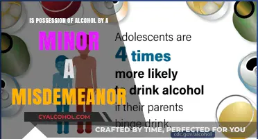 Alcohol Possession by Minors: Misdemeanor or Not?