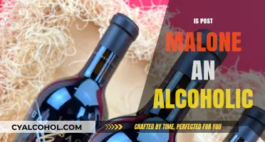 Is Post Malone Struggling with Alcoholism? Uncovering the Truth