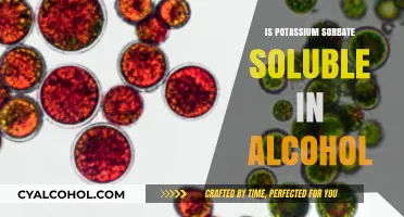 Potassium Sorbate Solubility in Alcohol: A Comprehensive Guide
