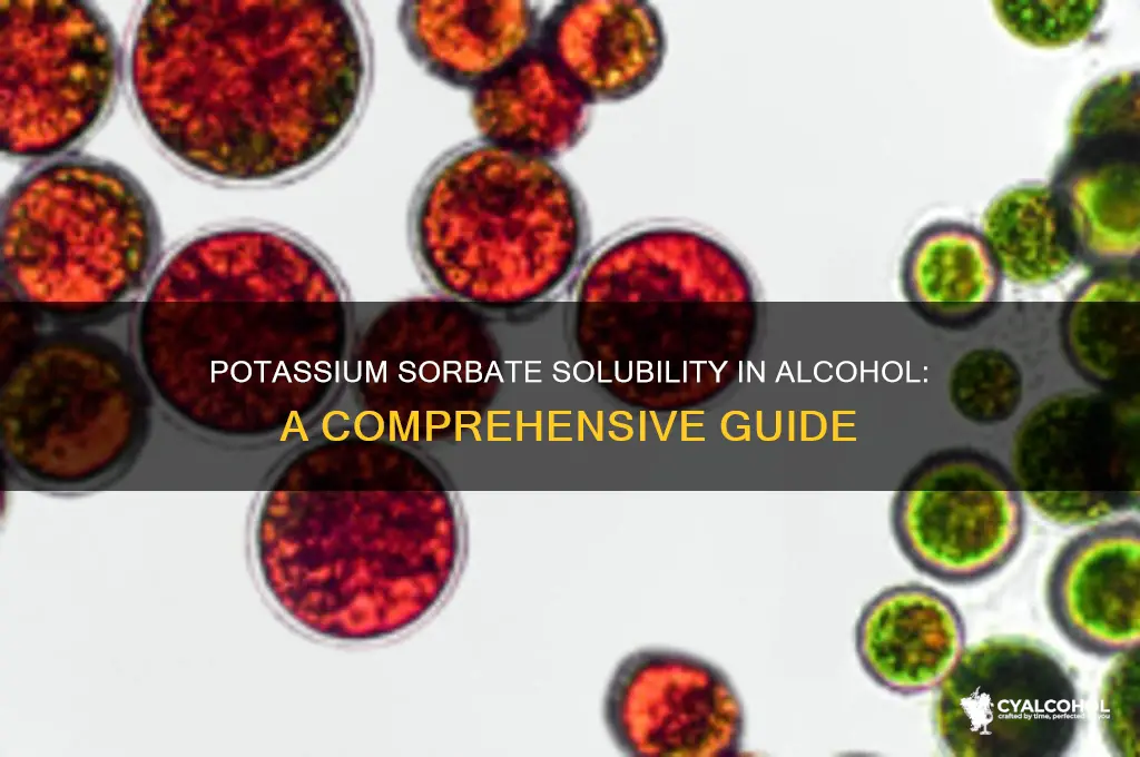 is potassium sorbate soluble in alcohol