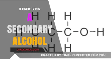 Understanding Propan-1,2-diol: Is It Classified as a Secondary Alcohol?