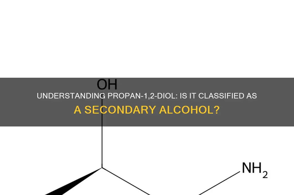 is propan-1 2-diol a secondary alcohol