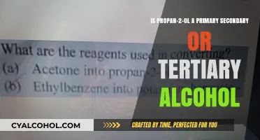 What Type of Alcohol is Propan-2-ol?