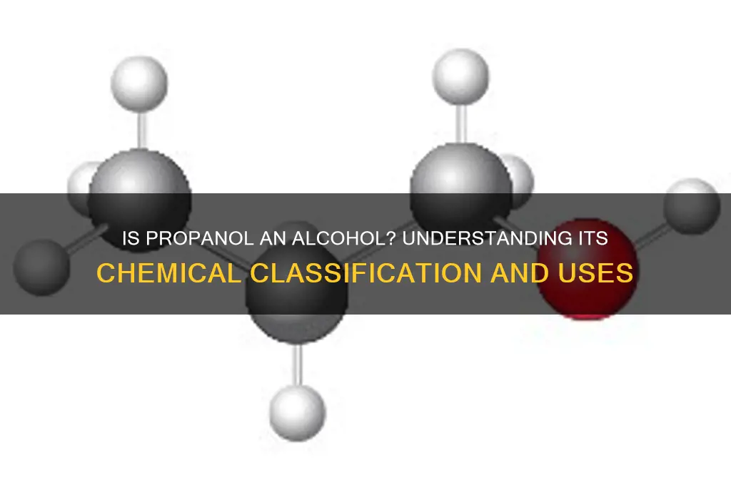 is propanol an alcohol