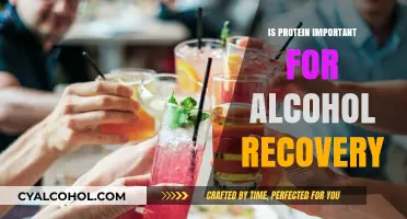 Protein's Role in Alcohol Recovery: Essential Nutrient for Healing and Repair
