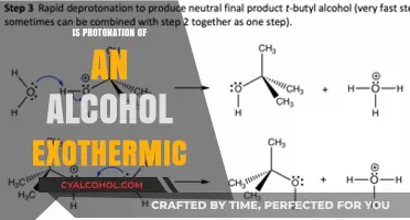 Is Alcohol Protonation Exothermic? Unraveling the Energy Release Mechanism
