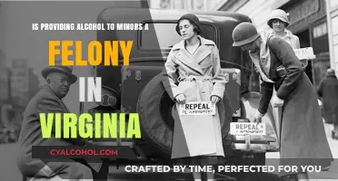 Alcohol to Minors: Virginia's Felony Laws
