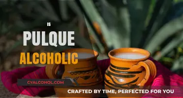 Is Pulque Alcoholic? Unveiling the Ancient Mexican Beverage's Truth