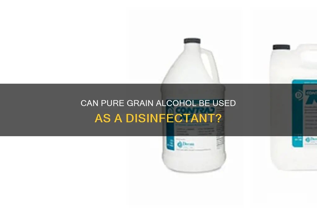 is pure grain alcohol a disinfectant