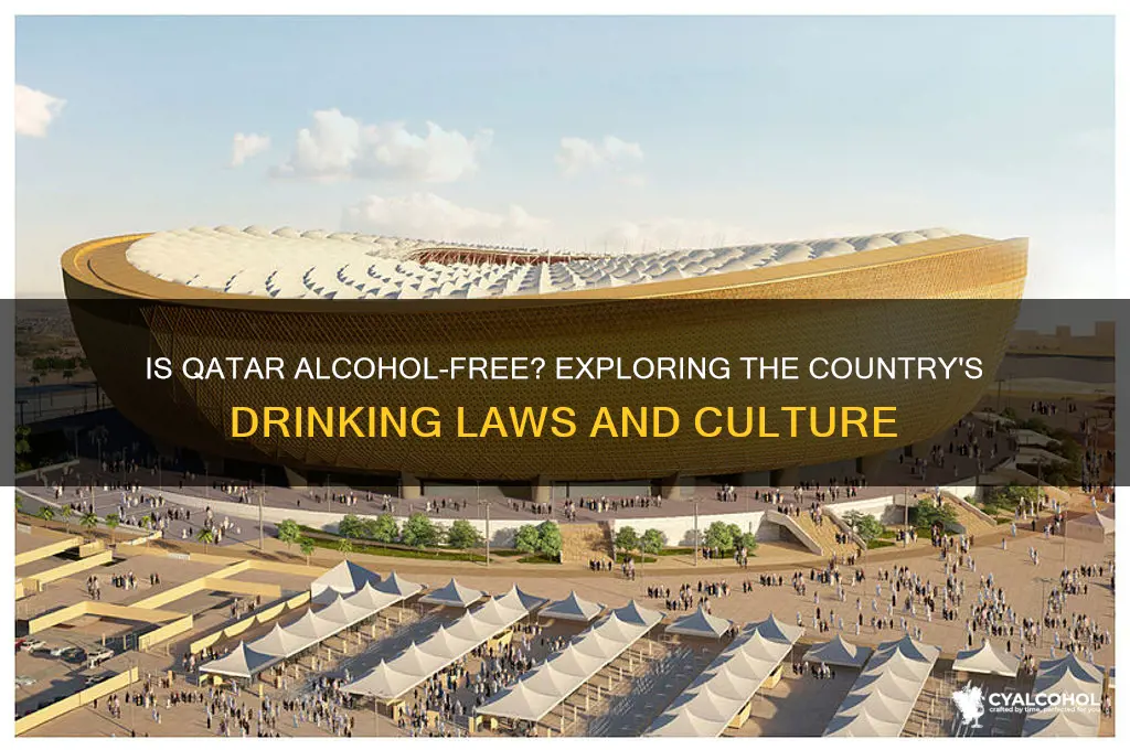 is qatar an alcohol free country
