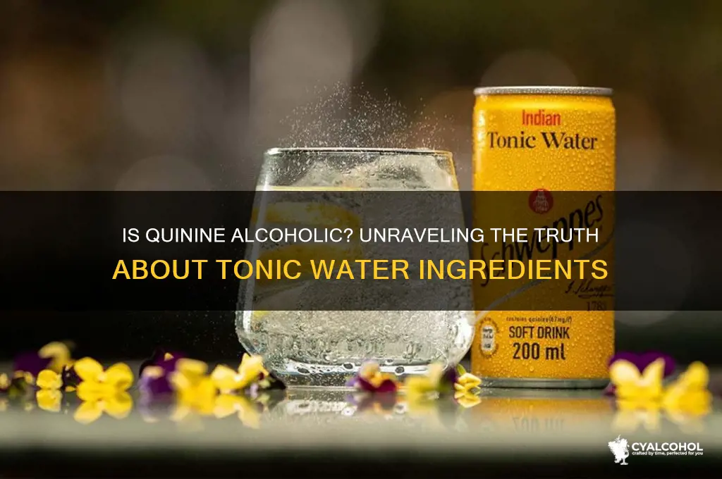 is quinine alcoholic