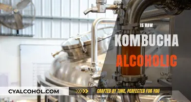 Is Raw Kombucha Alcoholic? Unveiling the Fermented Truth