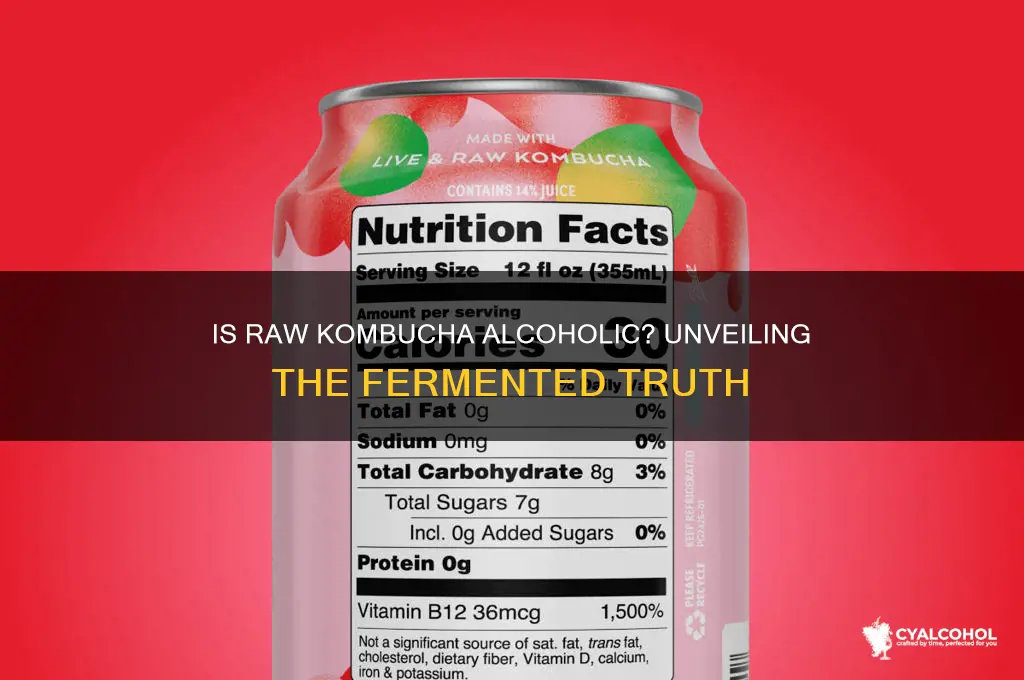 is raw kombucha alcoholic
