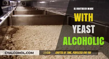 Is Root Beer Alcoholic? Exploring Yeast's Role in Fermentation