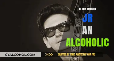 Roy Orbison Jr. and Alcoholism: Separating Fact from Fiction